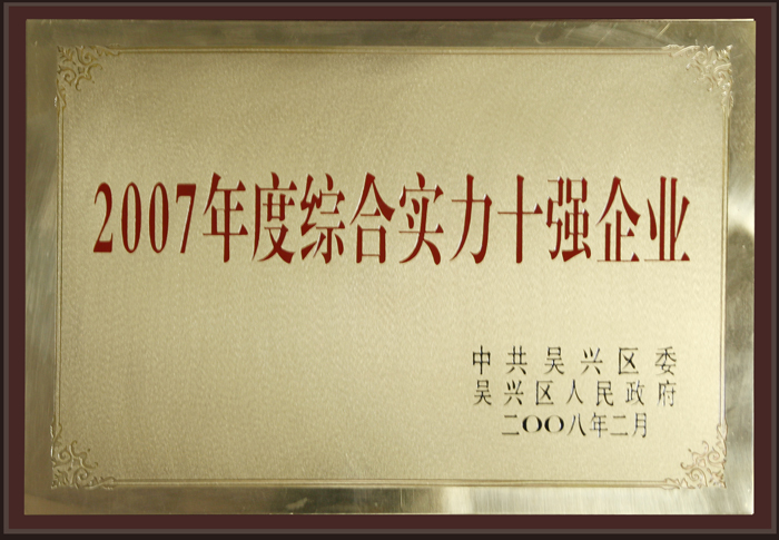 2007年度綜合實(shí)力十強(qiáng)企業(yè)